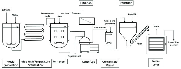 Biodiesel plant