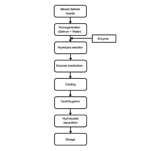 Protein Isolates and Hydrolysates